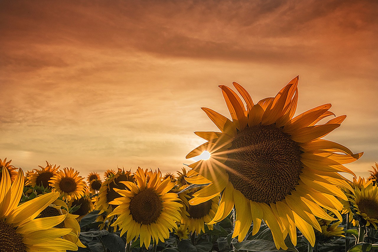 3d8f3da2-990e-4dc7-8ce7-73fcf19655f2