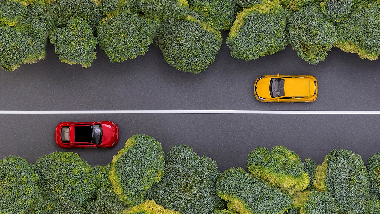 95319ba3-e130-4690-bbbf-8247613c1de0